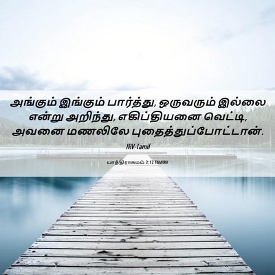Picture 06 - யாத்திராகமம் 2:12 TAMIRV - அங்கும் இங்கும் - Bible Verse Picture
