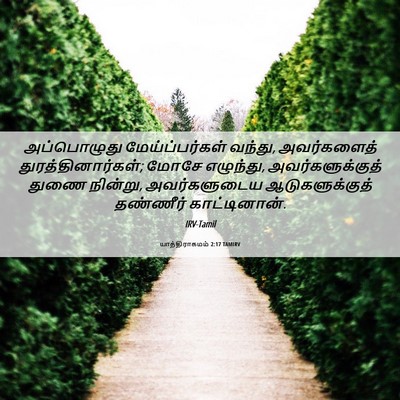 Picture 06 - யாத்திராகமம் 2:17 TAMIRV - அப்பொழுது - Bible Verse Picture
