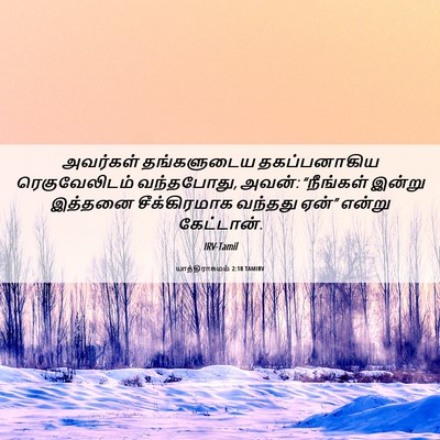 Picture 06 - யாத்திராகமம் 2:18 TAMIRV - அவர்கள் தங்களுடைய - Bible Verse Picture