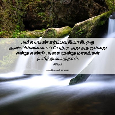Picture 06 - யாத்திராகமம் 2:2 TAMIRV - அந்த பெண் - Bible Verse Picture