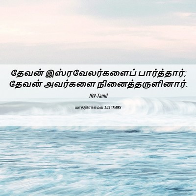 Picture 06 - யாத்திராகமம் 2:25 TAMIRV - தேவன் - Bible Verse Picture