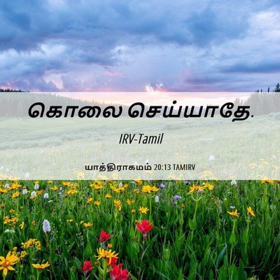 Picture 06 - யாத்திராகமம் 20:13 TAMIRV - கொலை - Bible Verse Picture