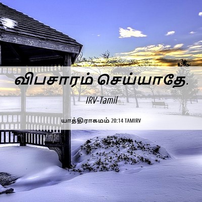 Picture 06 - யாத்திராகமம் 20:14 TAMIRV - விபசாரம் - Bible Verse Picture
