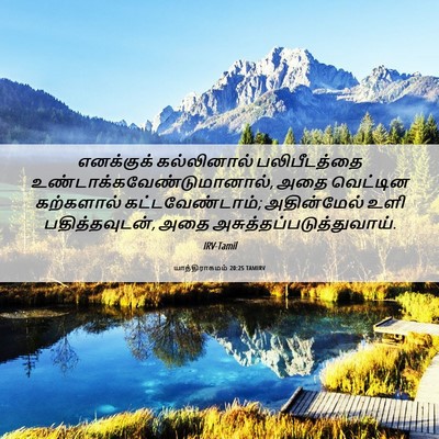 Picture 06 - யாத்திராகமம் 20:25 TAMIRV - எனக்குக் - Bible Verse Picture