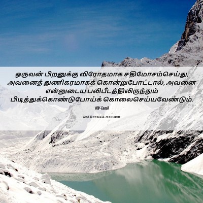Picture 06 - யாத்திராகமம் 21:14 TAMIRV - ஒருவன் பிறனுக்கு - Bible Verse Picture