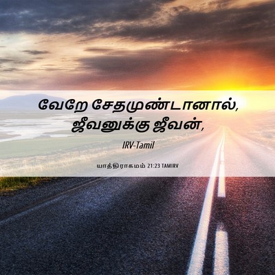 Picture 06 - யாத்திராகமம் 21:23 TAMIRV - வேறே - Bible Verse Picture