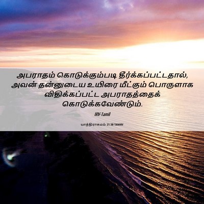 Picture 06 - யாத்திராகமம் 21:30 TAMIRV - அபராதம் - Bible Verse Picture