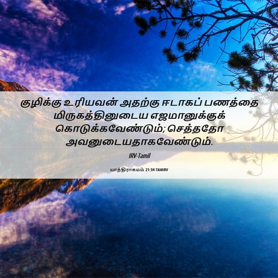Picture 06 - யாத்திராகமம் 21:34 TAMIRV - குழிக்கு உரியவன் - Bible Verse Picture