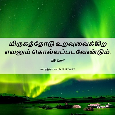 Picture 06 - யாத்திராகமம் 22:19 TAMIRV - மிருகத்தோடு - Bible Verse Picture