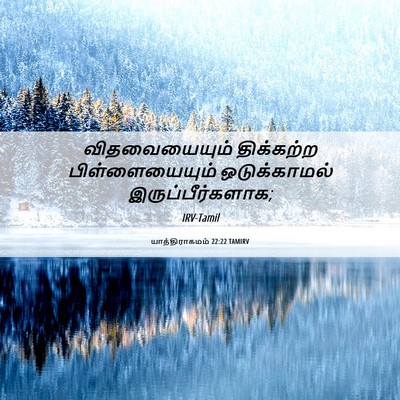 Picture 06 - யாத்திராகமம் 22:22 TAMIRV - விதவையையும் - Bible Verse Picture