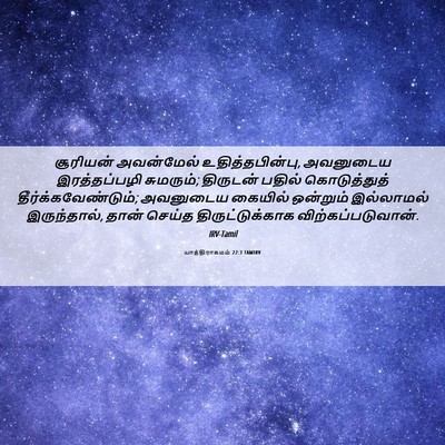 Picture 06 - யாத்திராகமம் 22:3 TAMIRV - சூரியன் அவன்மேல் - Bible Verse Picture