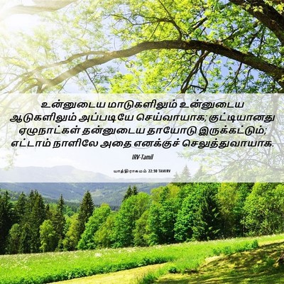 Picture 06 - யாத்திராகமம் 22:30 TAMIRV - உன்னுடைய - Bible Verse Picture