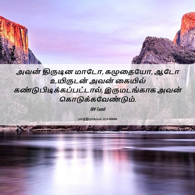 Picture 06 - யாத்திராகமம் 22:4 TAMIRV - அவன் திருடின மாடோ, - Bible Verse Picture