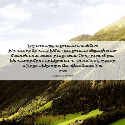 Picture 06 - யாத்திராகமம் 22:5 TAMIRV - “ஒருவன் - Bible Verse Picture