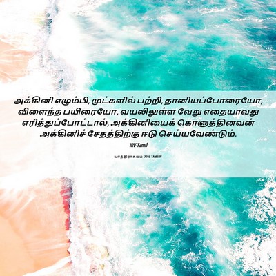 Picture 06 - யாத்திராகமம் 22:6 TAMIRV - அக்கினி எழும்பி, - Bible Verse Picture