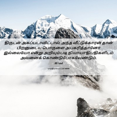 Picture 06 - யாத்திராகமம் 22:8 TAMIRV - திருடன் - Bible Verse Picture