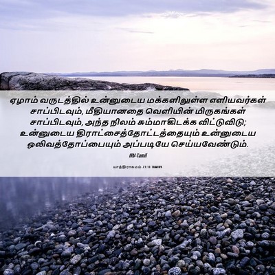 Picture 06 - யாத்திராகமம் 23:11 TAMIRV - ஏழாம் வருடத்தில் - Bible Verse Picture