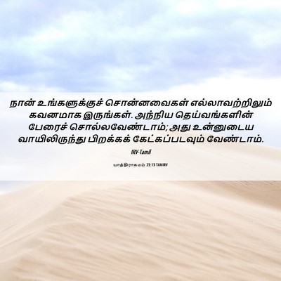 Picture 06 - யாத்திராகமம் 23:13 TAMIRV - நான் உங்களுக்குச் - Bible Verse Picture