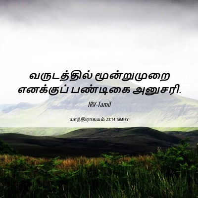 Picture 06 - யாத்திராகமம் 23:14 TAMIRV - வருடத்தில் - Bible Verse Picture