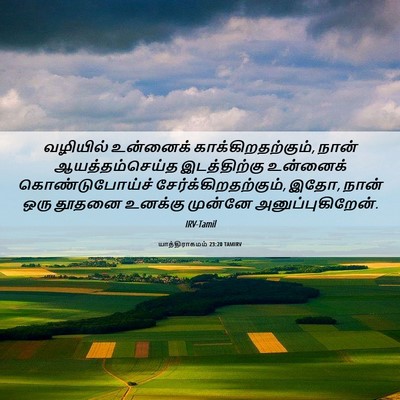 Picture 06 - யாத்திராகமம் 23:20 TAMIRV - வழியில் உன்னைக் - Bible Verse Picture