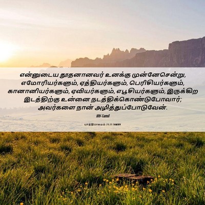 Picture 06 - யாத்திராகமம் 23:23 TAMIRV - என்னுடைய - Bible Verse Picture
