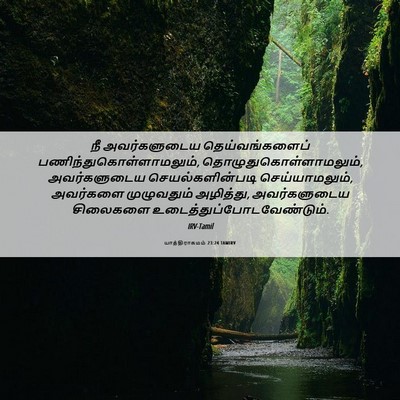 Picture 06 - யாத்திராகமம் 23:24 TAMIRV - நீ அவர்களுடைய - Bible Verse Picture