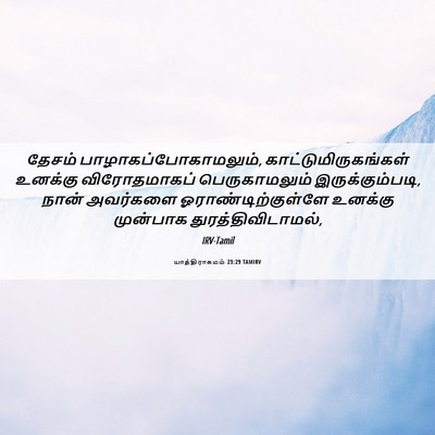 Picture 06 - யாத்திராகமம் 23:29 TAMIRV - தேசம் - Bible Verse Picture
