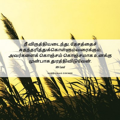 Picture 06 - யாத்திராகமம் 23:30 TAMIRV - நீ - Bible Verse Picture