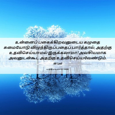 Picture 06 - யாத்திராகமம் 23:5 TAMIRV - உன்னைப் - Bible Verse Picture