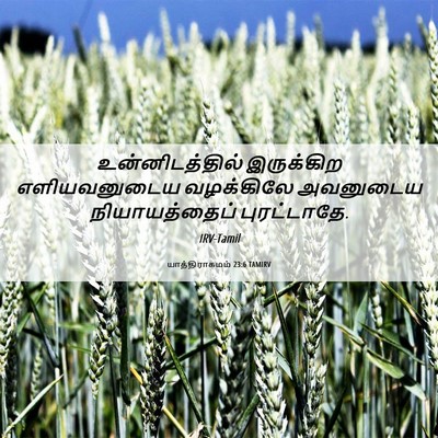 Picture 06 - யாத்திராகமம் 23:6 TAMIRV - உன்னிடத்தில் - Bible Verse Picture