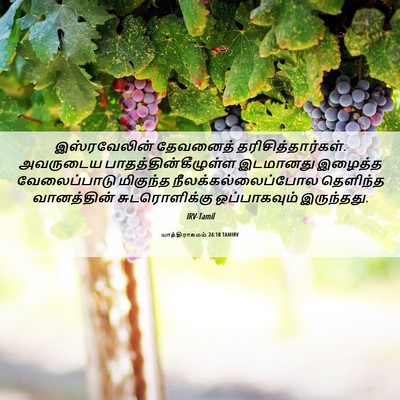 Picture 06 - யாத்திராகமம் 24:10 TAMIRV - இஸ்ரவேலின் - Bible Verse Picture