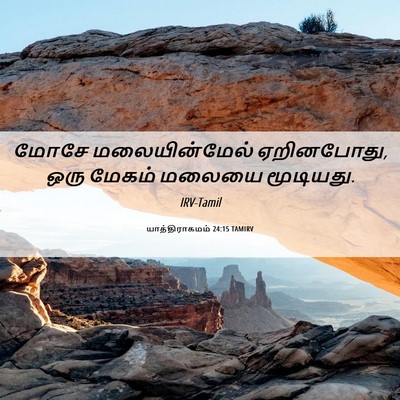 Picture 06 - யாத்திராகமம் 24:15 TAMIRV - மோசே மலையின்மேல் - Bible Verse Picture