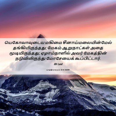 Picture 06 - யாத்திராகமம் 24:16 TAMIRV - யெகோவாவுடைய மகிமை - Bible Verse Picture