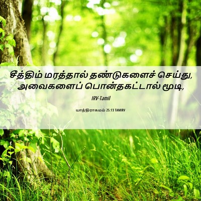 Picture 06 - யாத்திராகமம் 25:13 TAMIRV - சீத்திம் மரத்தால் - Bible Verse Picture