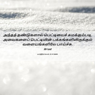 Picture 06 - யாத்திராகமம் 25:14 TAMIRV - அந்தத் தண்டுகளால் - Bible Verse Picture