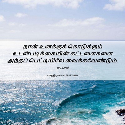 Picture 06 - யாத்திராகமம் 25:16 TAMIRV - நான் உனக்குக் - Bible Verse Picture