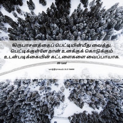 Picture 06 - யாத்திராகமம் 25:21 TAMIRV - கிருபாசனத்தைப் - Bible Verse Picture