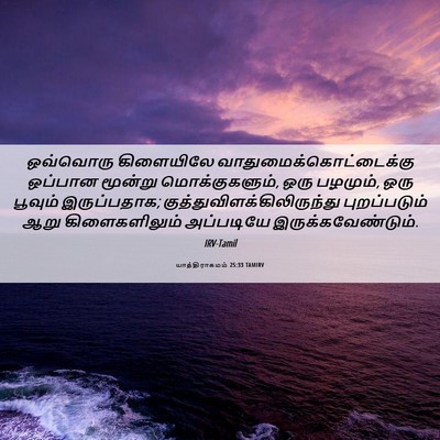 Picture 06 - யாத்திராகமம் 25:33 TAMIRV - ஒவ்வொரு கிளையிலே - Bible Verse Picture