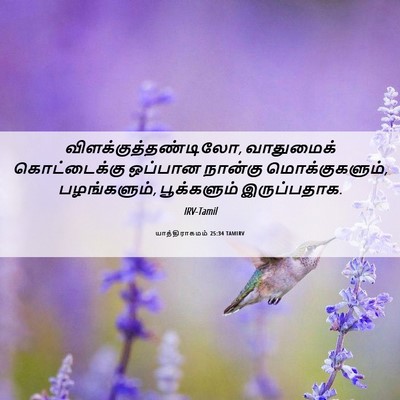 Picture 06 - யாத்திராகமம் 25:34 TAMIRV - விளக்குத்தண்டிலோ, - Bible Verse Picture