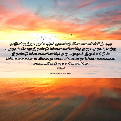 Picture 06 - யாத்திராகமம் 25:35 TAMIRV - அதிலிருந்து - Bible Verse Picture
