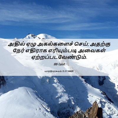 Picture 06 - யாத்திராகமம் 25:37 TAMIRV - அதில் ஏழு - Bible Verse Picture