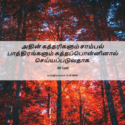 Picture 06 - யாத்திராகமம் 25:38 TAMIRV - அதின் கத்தரிகளும் - Bible Verse Picture