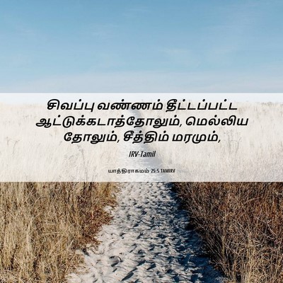 Picture 06 - யாத்திராகமம் 25:5 TAMIRV - சிவப்பு வண்ணம் - Bible Verse Picture