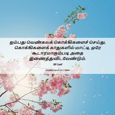 Picture 06 - யாத்திராகமம் 26:11 TAMIRV - ஐம்பது வெண்கலக் - Bible Verse Picture
