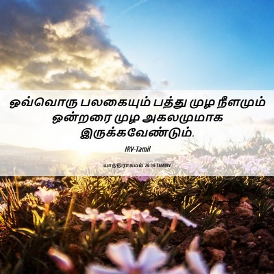 Picture 06 - யாத்திராகமம் 26:16 TAMIRV - ஒவ்வொரு பலகையும் - Bible Verse Picture