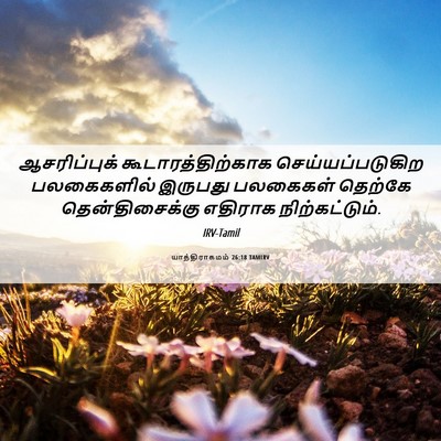 Picture 06 - யாத்திராகமம் 26:18 TAMIRV - ஆசரிப்புக் - Bible Verse Picture