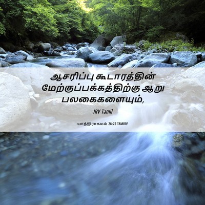 Picture 06 - யாத்திராகமம் 26:22 TAMIRV - ஆசரிப்பு - Bible Verse Picture