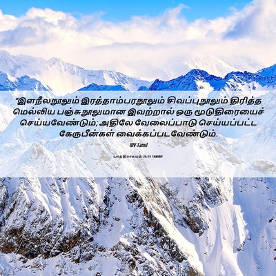 Picture 06 - யாத்திராகமம் 26:31 TAMIRV - “இளநீலநூலும் - Bible Verse Picture