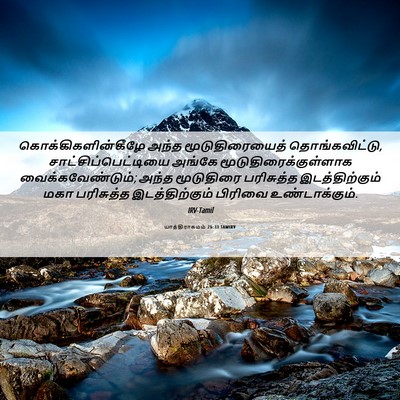 Picture 06 - யாத்திராகமம் 26:33 TAMIRV - கொக்கிகளின்கீழே - Bible Verse Picture