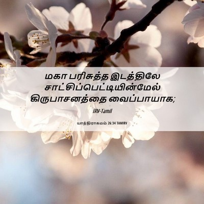 Picture 06 - யாத்திராகமம் 26:34 TAMIRV - மகா பரிசுத்த - Bible Verse Picture